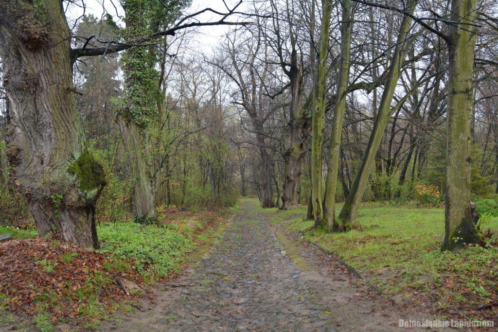 Żelowice, aleja lipowa