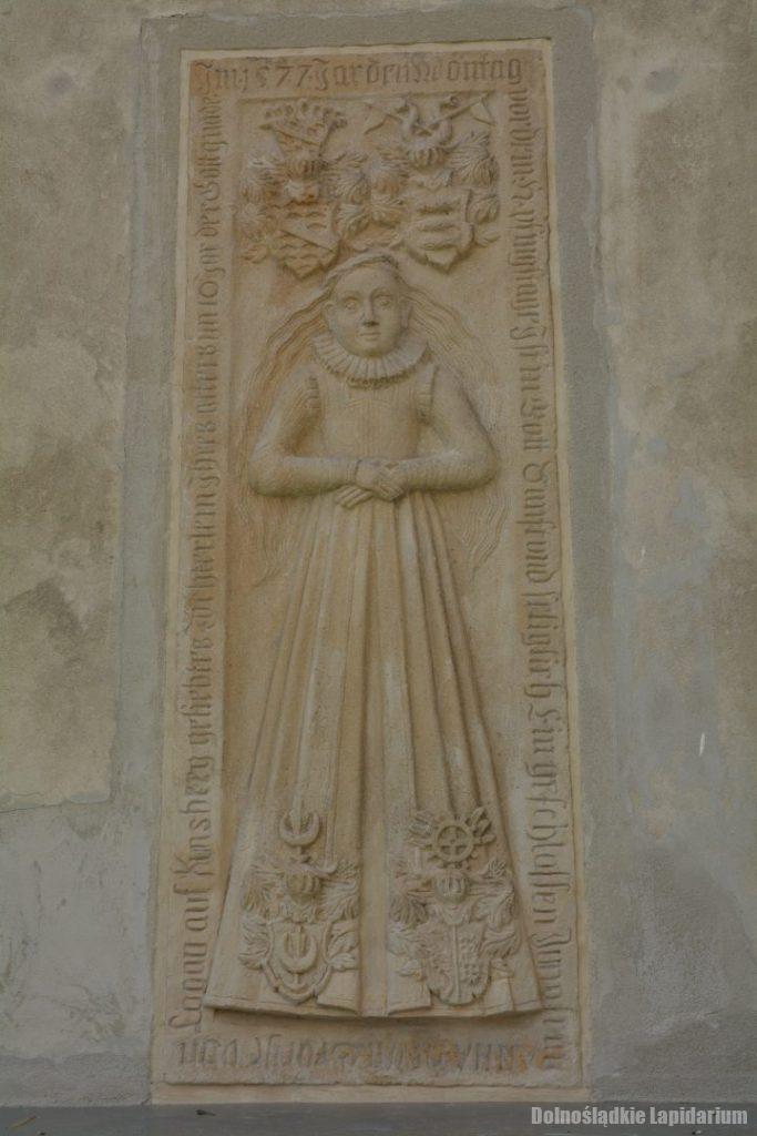 Dziećmorowice, Anna von Logau